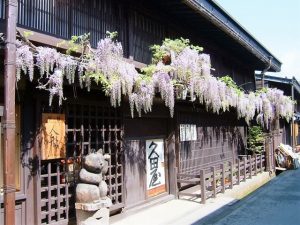 郡上八幡城下町